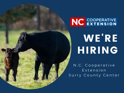 We're Hiring
