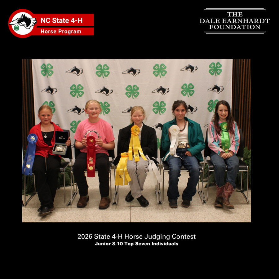 2026 Junior 8-10 Horse Judging Top Seven award recipients with their ribbons in front of the NC 4-H Horse Program picture backdrop.