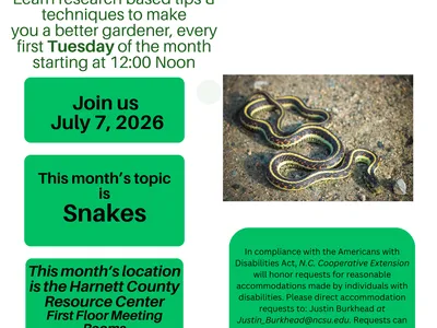 image of flyer text in article