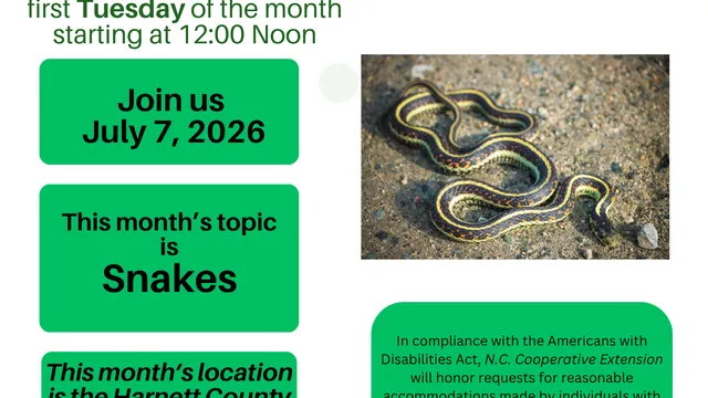 image of flyer text in article
