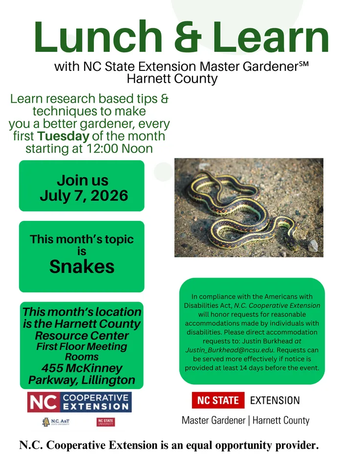 flyer text in article