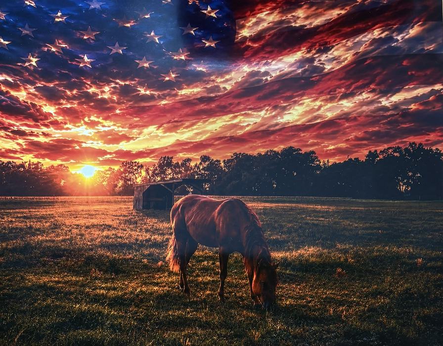 Junior Digitally Enhanced Photo Champion- Jayleigh Tyndall. Picture of a horse in a field with the American flag in the sky as a background.