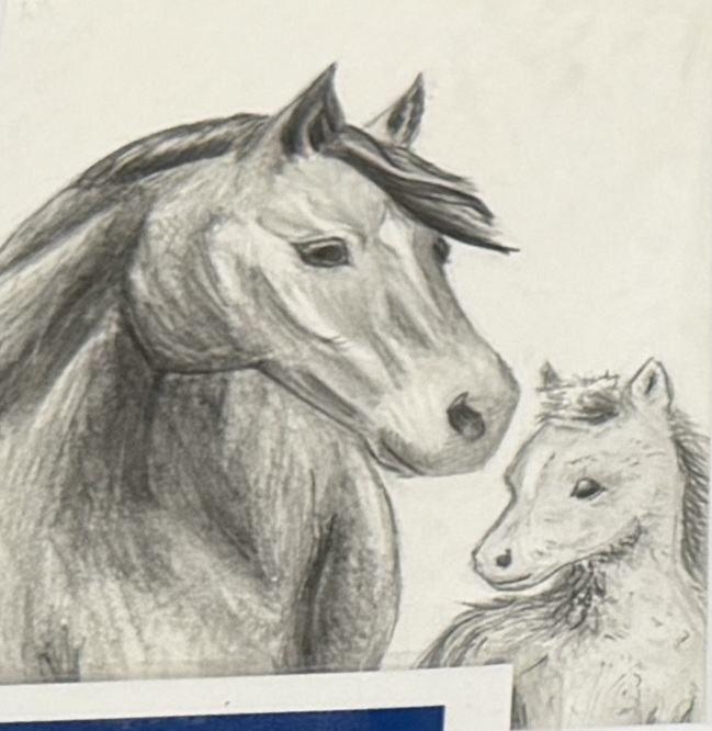 Junior Drawing Champion- Annelise Miller. Pencil drawing of a mare and foal.