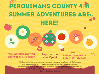 summer adventures flyer
