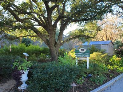 Live Oak Garden Entrance (Photo Courtesy of Taylor McDaniel)