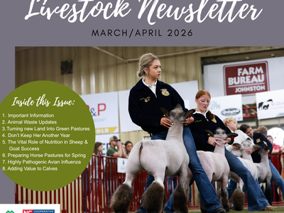 A background photo of young people showing lambs.