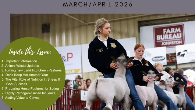 A background photo of young people showing lambs.