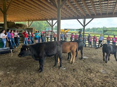 Judging Contest