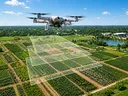 Drone flying over agricultural research fields with translucent overlapping image frames below it, illustrating how aerial photos are collected for drone mapping and orthomosaic creation.