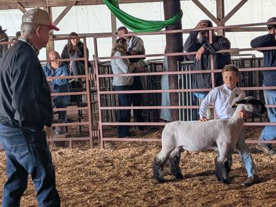 Lucas Vernon from Caswell 4-H showing a lamb at a livestock show