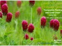 Photo showing red clover flower heads close up with text advertising the Lunch n Learn workshop on companion planting and cover crops