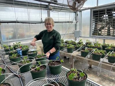 Lynn Raynor-Master Gardener