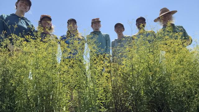 A group of people standing in front of a field of flowers
