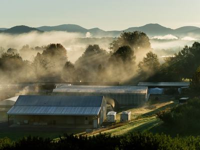View of Mountain Horticultural Crops Research Station in morning fog