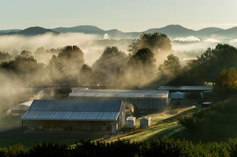 View of buildings and greenhouses in morning fog with mountains in background