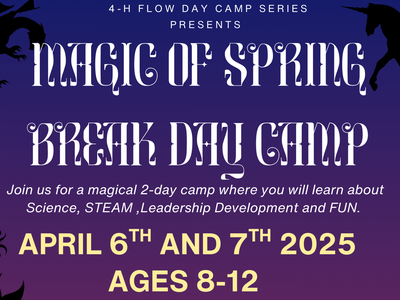 purple and black background with fantasy images such as castles, mermaids and dragons listing details of the spring break camp activities