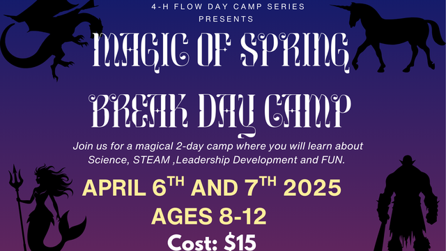 purple and black background with fantasy images such as castles, mermaids and dragons listing details of the spring break camp activities
