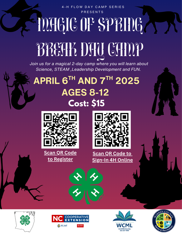 purple and black background with fantasy images such as castles, mermaids and dragons listing details of the spring break camp activities