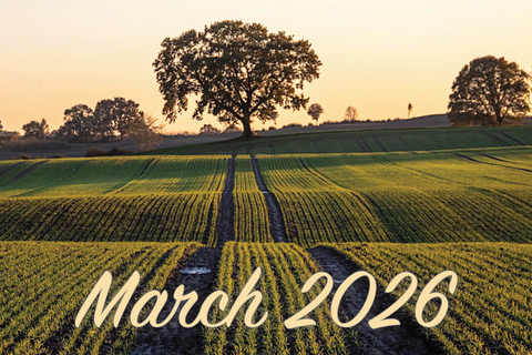 March 2026 planted field with tractor tracks