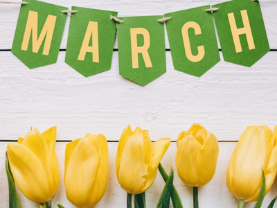 yellow tulips with March banner over wood planks