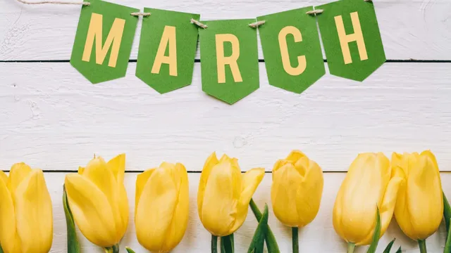 yellow tulips with March banner over wood planks