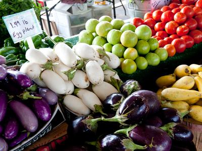 Purple Eggplant, White Eggplant, Green Tomatoes, Red Tomatoes, and Yellow Squash displayed on a synthetic turf stand.