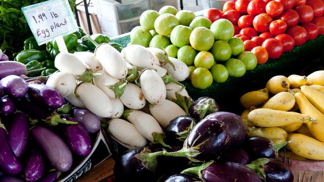 Purple Eggplant, White Eggplant, Green Tomatoes, Red Tomatoes, and Yellow Squash displayed on a synthetic turf stand.