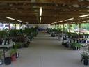 Rows of potted plants and small shrubs line long tables inside a spacious, open-air wooden pavilion for a Master Gardener plant sale. A central concrete aisle leads toward the back of the structure, while white pickup trucks are visible parked in the sun