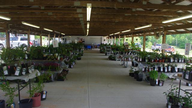 Peachtree Farmers Market photo 5