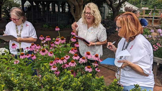 Three women holding clipboards look at purple and pink flowers