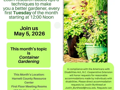 lunch and learn poster