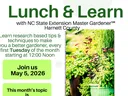 lunch and learn poster