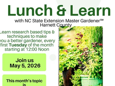 lunch and learn poster
