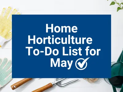A graphic that reads: 'Home Horticulture To-Do List for May'