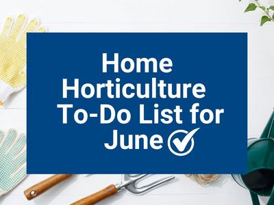 Your Home Horticulture To-Do List for June