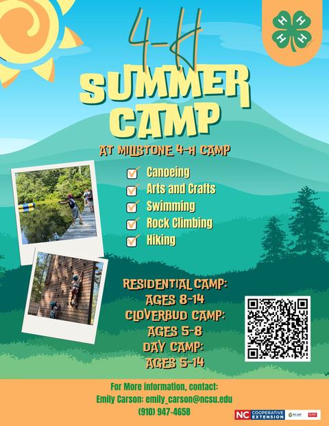 Flyer for Millstone 4-H Camp