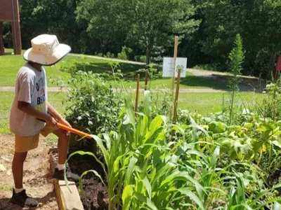 A young person wearing a sun hat tends to a lush raised-bed garden next to a brick building.