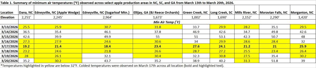 Minimum air temperatures observed in select southeastern US apple production areas were well below average from March 13 to March 20th. The coldest night across all sites was March 17th, where temperatures were in the low 20's in major production areas.