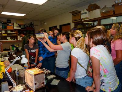 Class looking at insect cage in lab