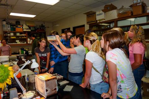 Crowd of people looking at insect cage in lab
