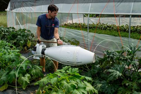 Person using D-Vac suction device to collect insects from plants