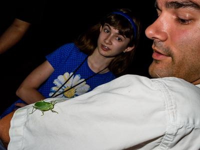 Person with katydid on shirt, Moth Night