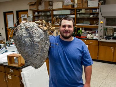 Man holding hornet nest