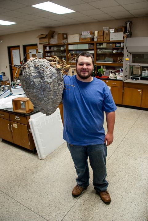 Man holding empty hornet nest inside laboratory