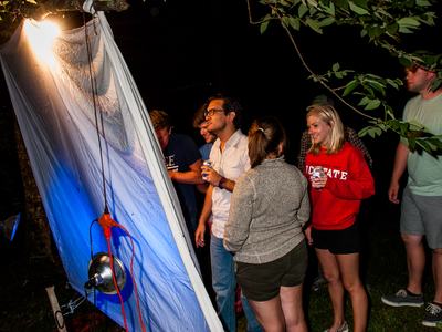 People collecting insects from sheet with UV light
