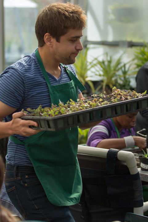 Moving Plants in the Lewis Greenhouse E.Petterson