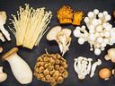 Various varieties of mushrooms
