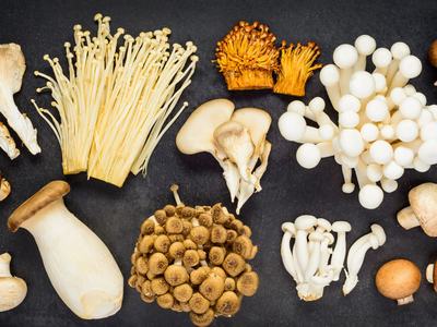 Various varieties of mushrooms