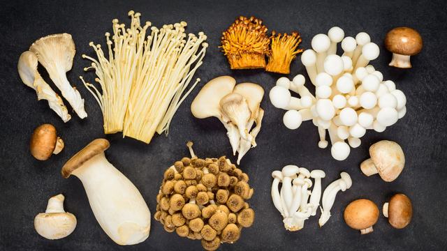 Various varieties of mushrooms