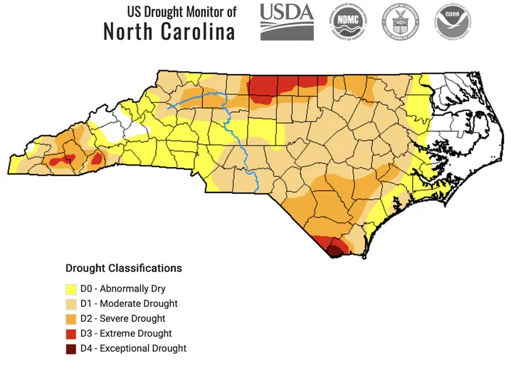 A U.S. Drought Monitor Map of North Carolina illustrating the drought classifications of counties statewide as of August 11, 2026.